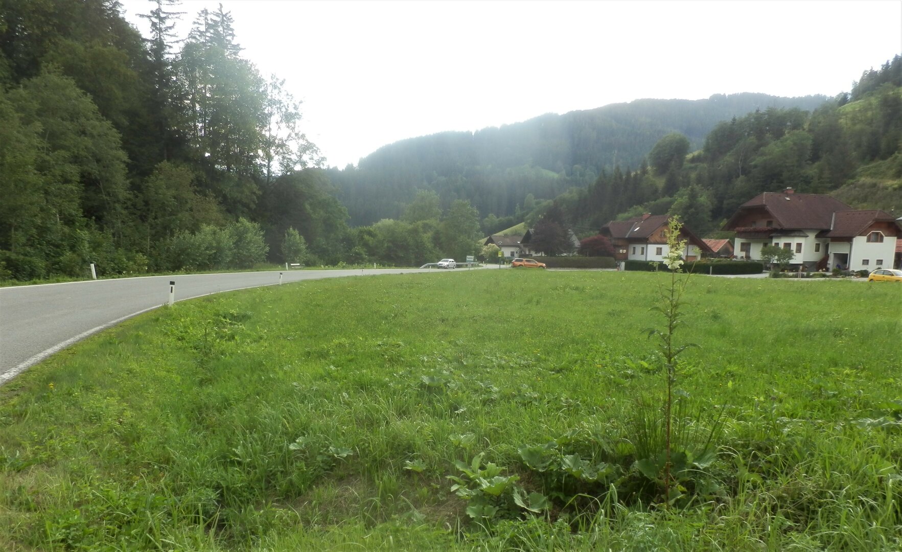 NEUBERG AN DER MÜRZ/KAPELLEN - SCHÖN GELEGENE BAURECHTSGRÜNDE