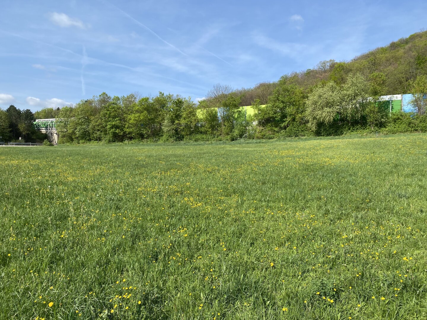 Großes Grundstück 4.267m² in Weissenbach/Hinterbrühl mit vielen Möglichkeiten!