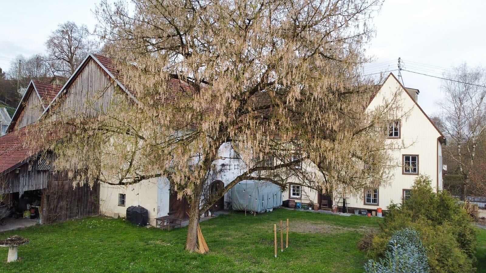 Historische Mühle in Schlossnähe – vielseitige Nutzung möglich