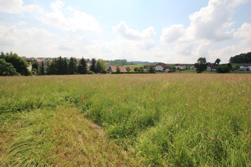 3662 m² Grundstück in 4760 Raab zu kaufen