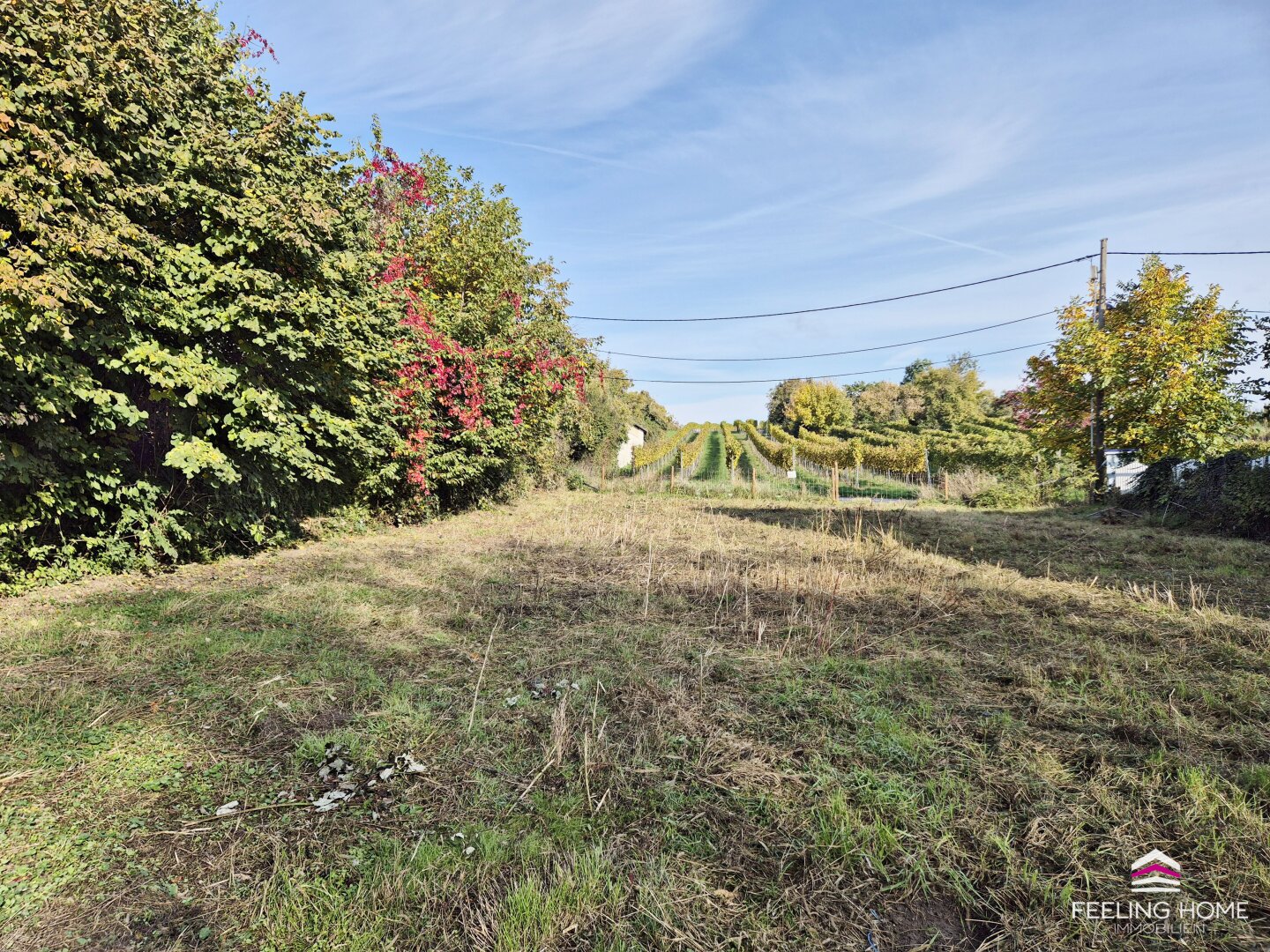 Verwirklichen Sie Ihre Wohnträume – vis-à-vis vom Weinberg und nahe dem Marchfeldkanal in Stadtrandlage!