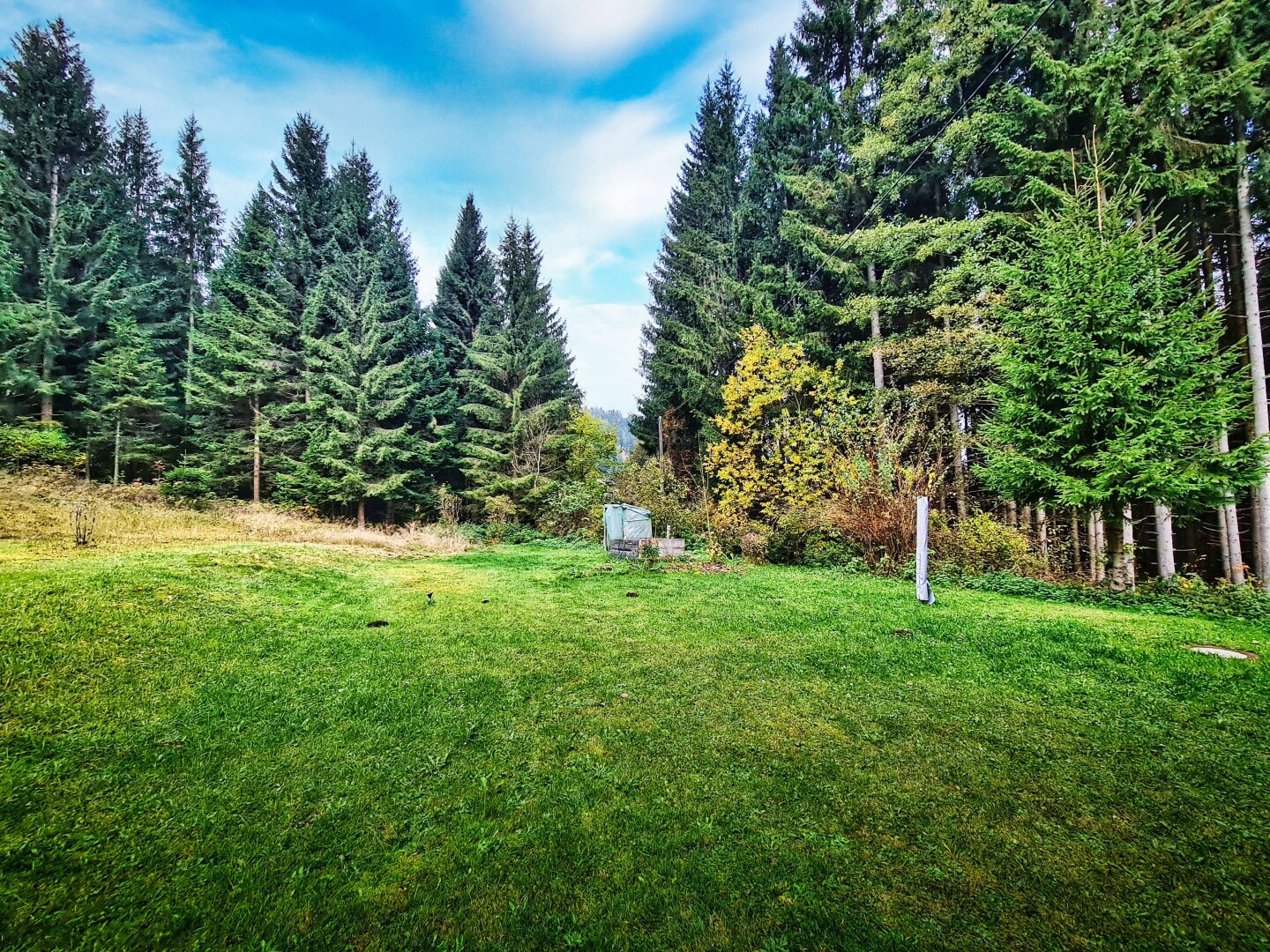 Teilsaniertes Wohnhaus am Waldesrand am Fuße der Nockberge