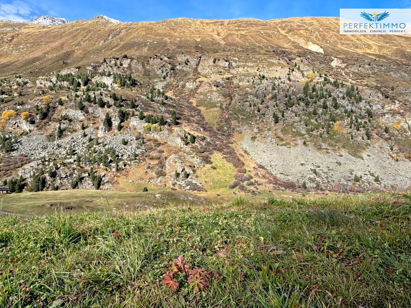 Baugrund in sonniger Lage