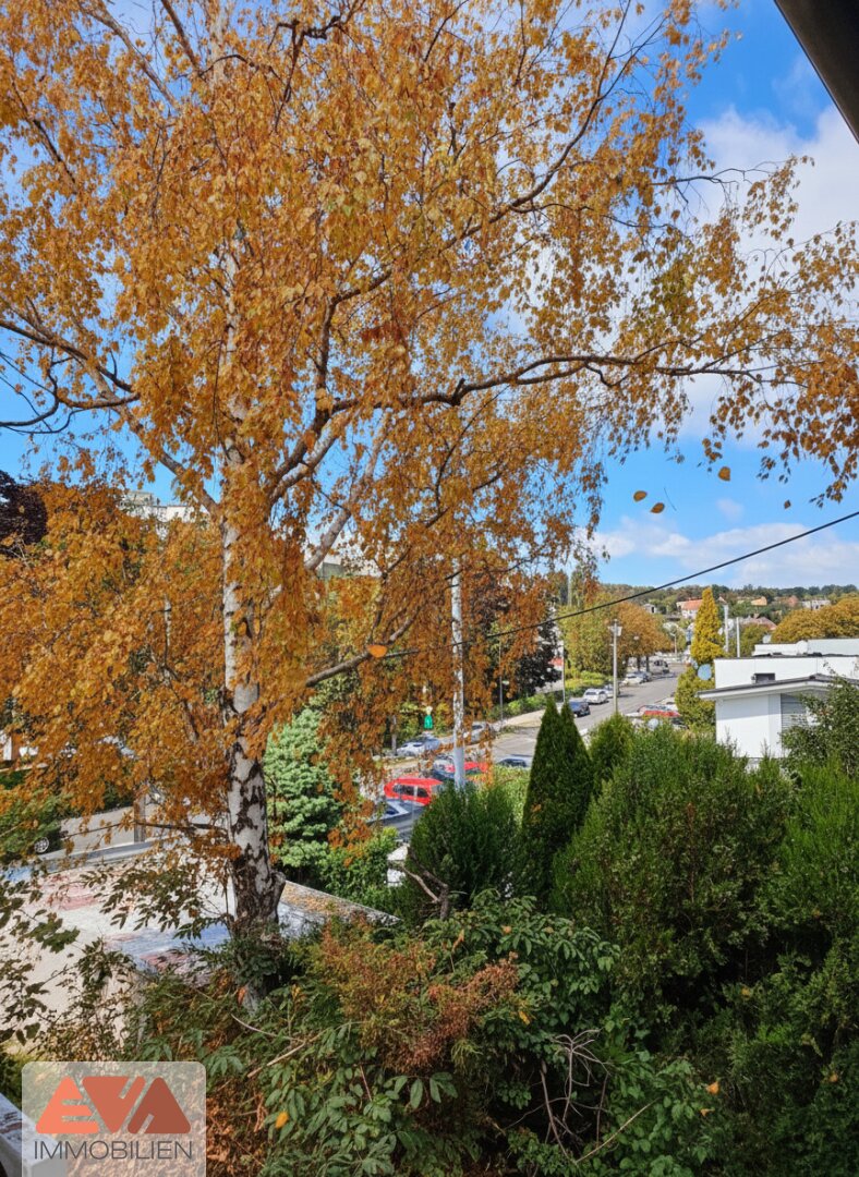 Der Traum vom Eigenheim zum Greifen nahe