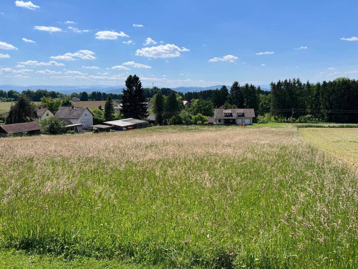 Sonniges Baugrundstück in Top-Südwestlage – St. Georgen an der Stiefing