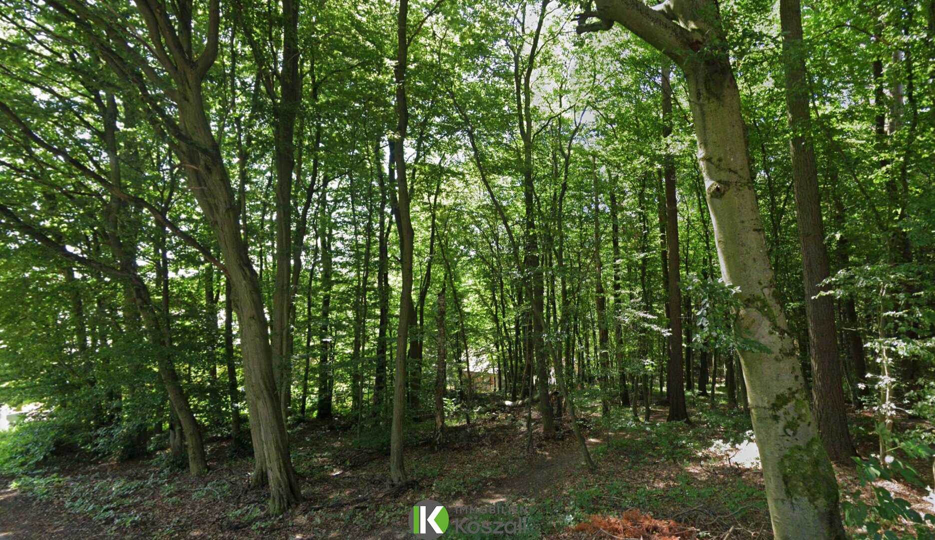 Exklusives Grundstück nahe Gablitz am Riederberg – Wohlfühloase mit Entwicklungspotenzial