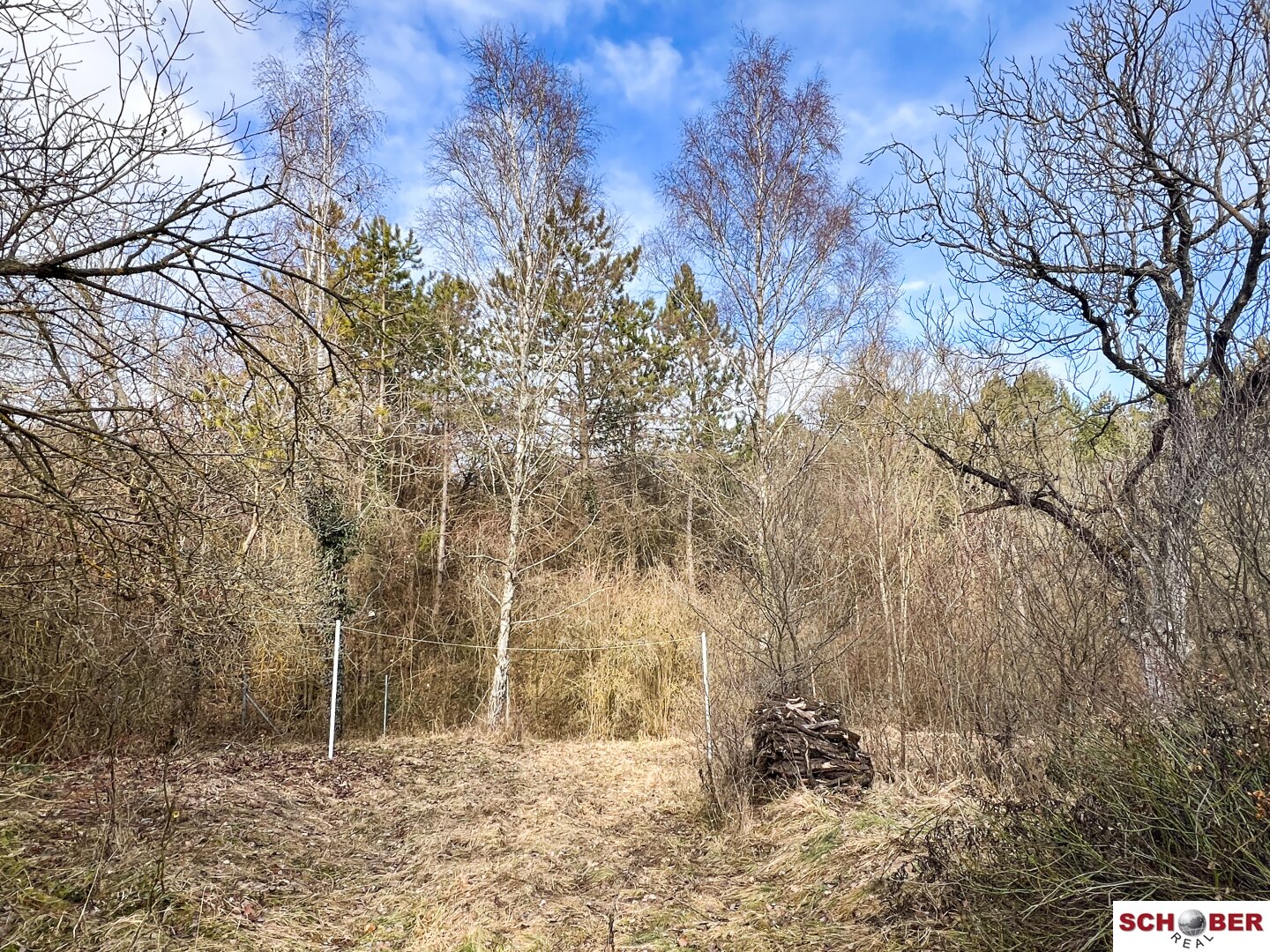 2061 m2 großer Traumgrund in Waldrandlage