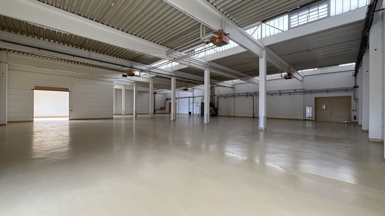 Produktions- & Lagerhalle | 3.057 m² | Lebensmitteltauglich | 5 t/m² Bodenbelastung | St. Pölten / S33