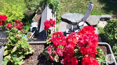 CHALET trifft Krems