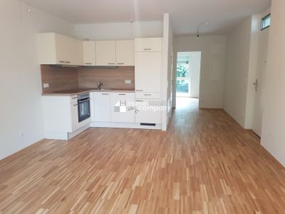 " Mietpreis - Senkung!! 2-Zimmer-Wohnung mit Garten und Terrasse!