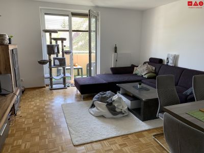 Ihr traumhafter Rückzugsort zum Wohlfühlen: geräumiges Wohnzimmer mit Zugang zum sonnigen Balkon, modernes Badezimmer und praktischer Abstellraum! Verbringen Sie den ersten Sommer im grünen Steyr Münichholz!