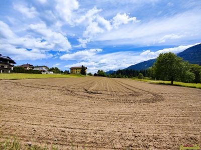 Großes Baugrundstück mit Grünblick in Berg im Drautal. - Zwei Parzellen, teilbar und Doppelhaus möglich.