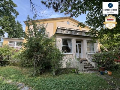 Historisches Herrenhaus im Villenviertel von Baden: ca.450m² WF mit Grundfläche von 1873qm und 17 Zimmern zum Sanieren! (V2 & Schut