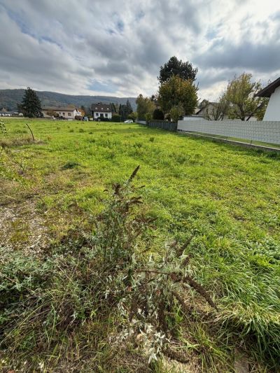 IHR NEUES GRUNDSTÜCK FÜR IHR TRAUMHAUS