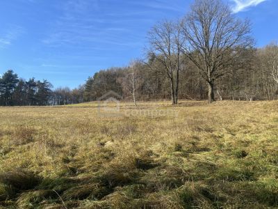 Sehr schönes Grundstück für Selbstversorger oder .....