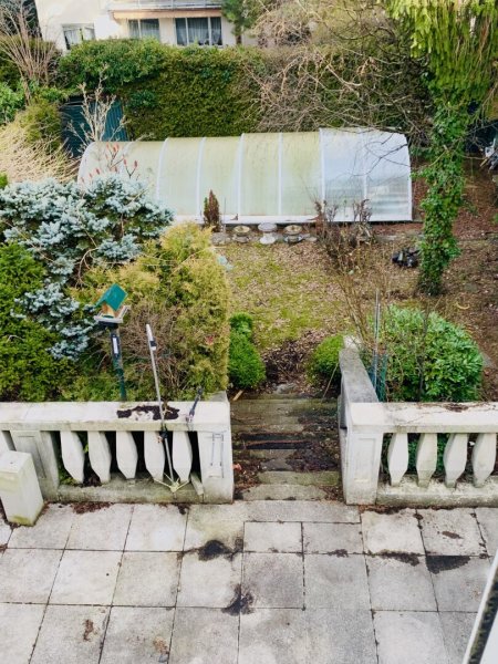 Blick Garten