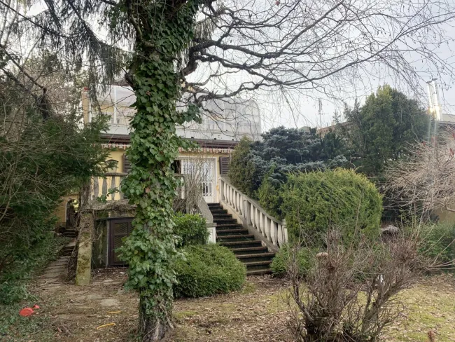 Blick Haus