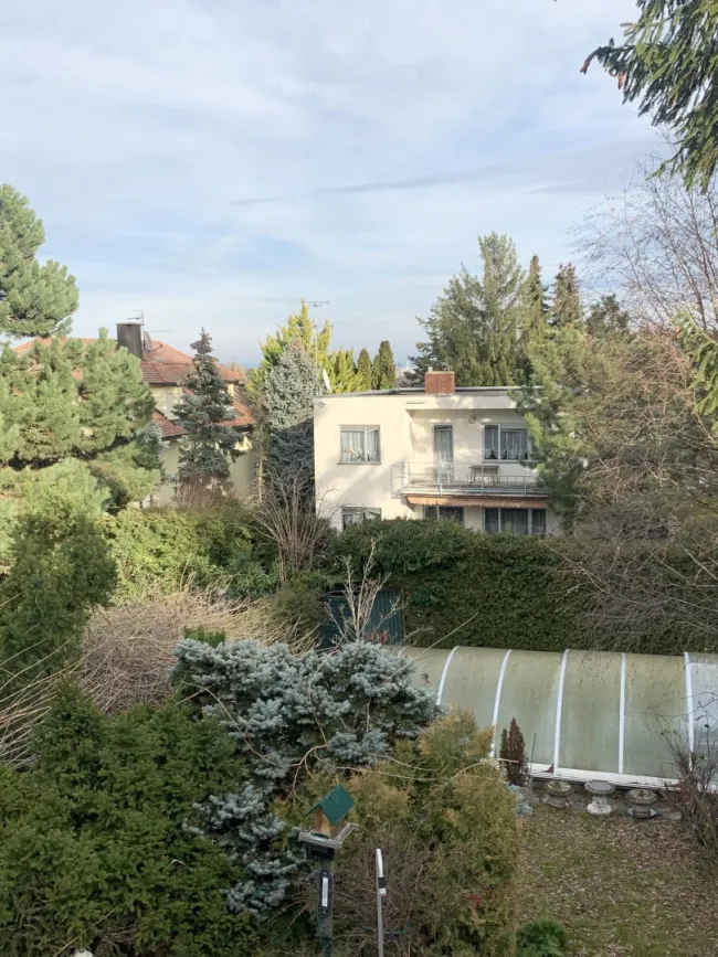 Blick Garten