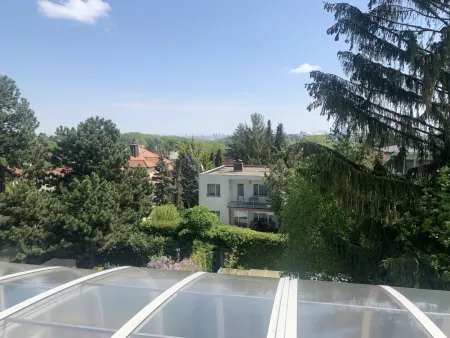 Blick