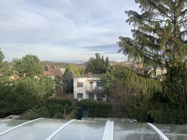 Blick Garten