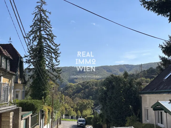 6 extravagante Doppelhaushälften in Traumlage von Weidling - Bild