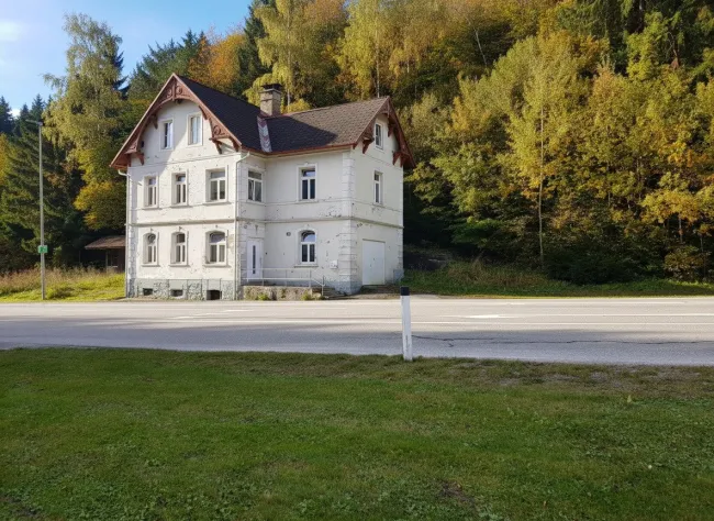 Projekt Lebens(t)raum – Sanierungsabenteuer mit Potenzial in Waldrandlage nahe Skigebiet - Titelbild