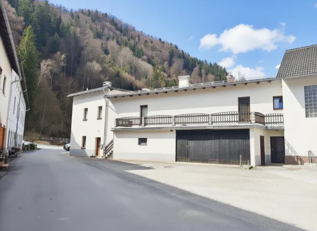 MASSIVE REDUZIERUNG! Mehrfamilienhaus mit großer Terrasse - schönem Garten - Garage - Nähe Grüner See - Titelbild