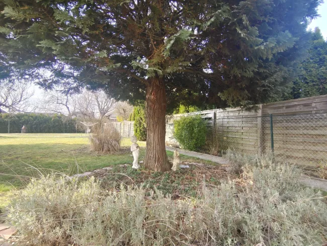 Aussenansicht mit Blick in Garten II