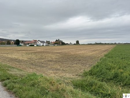 Großes Grundstück mit Entwicklungspotenzial in Sommerein – Nähe Bauland-Betriebsgebiet und Bauland-Wohngebiet!