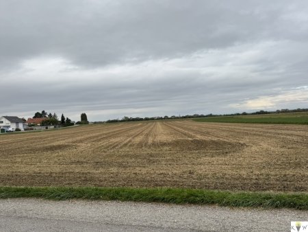 Großes Grundstück mit Entwicklungspotenzial in Sommerein – Nähe Bauland-Betriebsgebiet und Bauland-Wohngebiet!