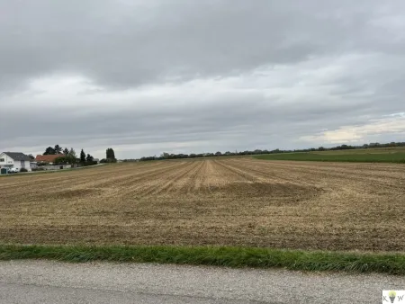 Großes Grundstück mit Entwicklungspotenzial in Sommerein – Nähe Bauland-Betriebsgebiet und Bauland-Wohngebiet!