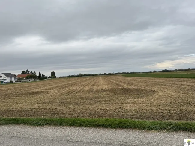 Großes Grundstück mit Entwicklungspotenzial in Sommerein – Nähe Bauland-Betriebsgebiet und Bauland-Wohngebiet! - Titelbild