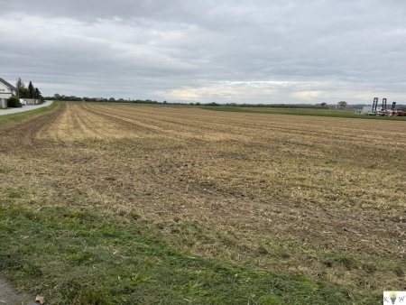 Großes Grundstück mit Entwicklungspotenzial in Sommerein – Nähe Bauland-Betriebsgebiet und Bauland-Wohngebiet!