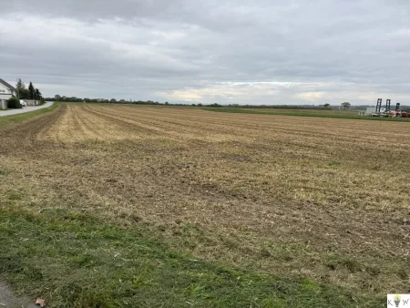 Großes Grundstück mit Entwicklungspotenzial in Sommerein – Nähe Bauland-Betriebsgebiet und Bauland-Wohngebiet!