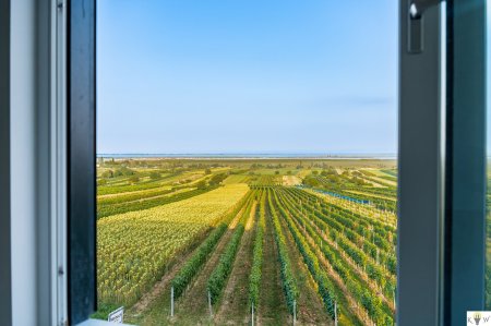 NEUER PREIS! Hochwertige Erstbezugswohnungen mit exklusivem Seeblick in Mörbisch