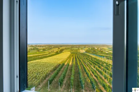 NEUER PREIS! Hochwertige Erstbezugswohnungen mit exklusivem Seeblick in Mörbisch