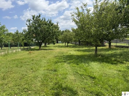 Historisches Anwesen mit 2.985m² großem Grundstück in Kittsee – ideal auch für Bauträger