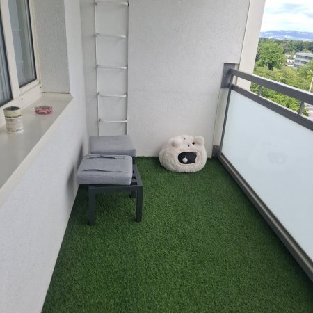 Sanierte 3 Zimmerwohnung mit Loggia und Blick ins Grüne