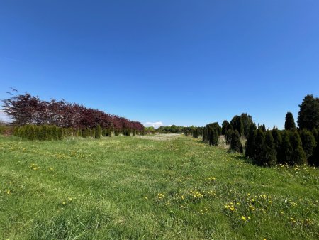Landwirtschaftliche Nutzflächen in Weißkirchen an der Traun