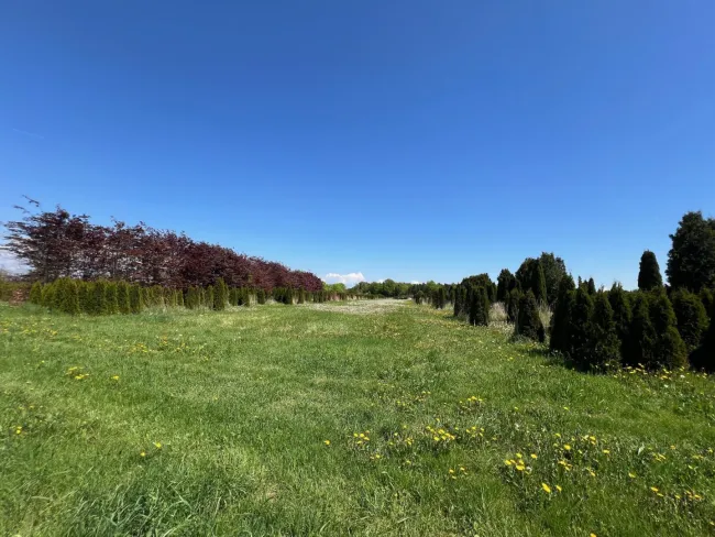 Landwirtschaftliche Nutzflächen in Weißkirchen an der Traun - Bild