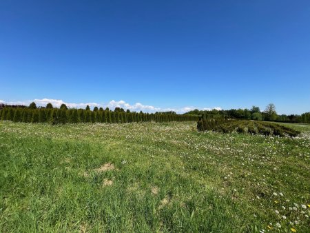 Landwirtschaftliche Nutzflächen in Weißkirchen an der Traun