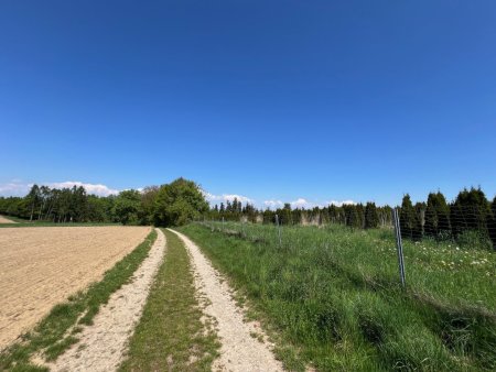 Landwirtschaftliche Nutzflächen in Weißkirchen an der Traun
