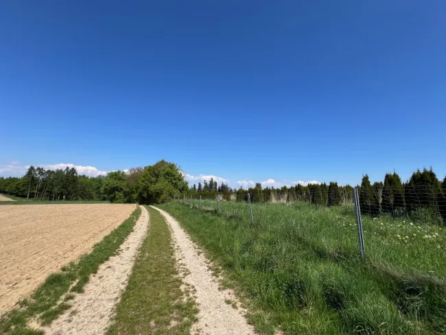 Landwirtschaftliche Nutzflächen in Weißkirchen an der Traun - Bild