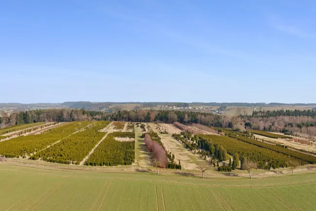 Drohne 11