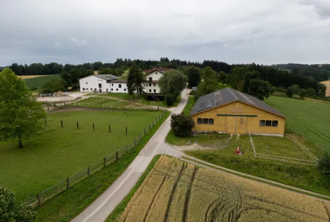 Charmanter Reiterhof in idyllischer Lage bei Gunskirchen - BESTANDSFREI! - Bild