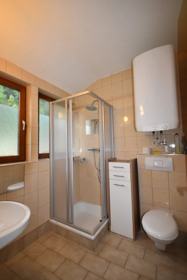 Badezimmer - Kleines 2 Zimmer Dachgeschoss-Apartment in Ruhelage Miete Grödig Salzburg