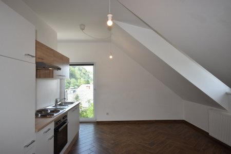 Wohnzimmer - Moderne und gemütliche 2 Zimmer Dachgeschosswohnung Miete Grödig Salzburg