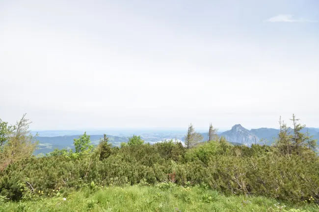 Ausblick - Gemütliches Chalet im Ski- und Wanderparadies FEUERKOGEL mit traumhaften Ausblick Kauf Ebensee Oberösterreich