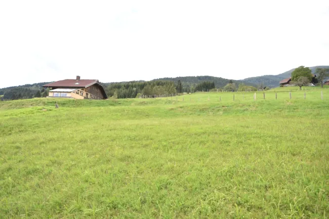 Landwirtschaftlich genutztes Grünland Kauf Arriach Kärnten