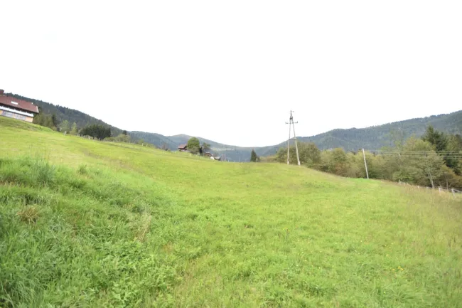 Landwirtschaftlich genutztes Grünland Kauf Arriach Kärnten